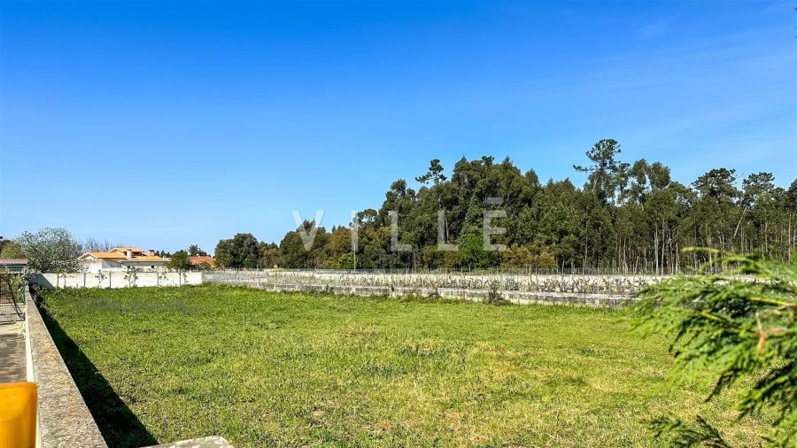 Terreno para Venda em Oliveira do Bairro Foto 4