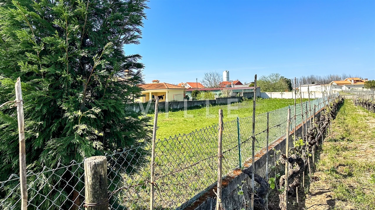 Terreno para Venda em Oliveira do Bairro Foto 3