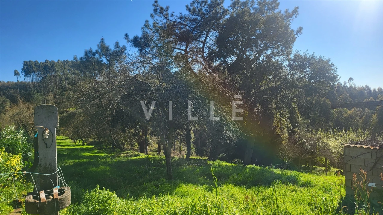Terreno para Venda em Préstimo e Macieira de Alcoba Foto 15