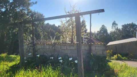 Terreno para Venda em Préstimo e Macieira de Alcoba