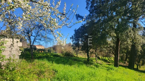 Terreno para Venda em Préstimo e Macieira de Alcoba
