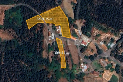Terreno para Venda em Préstimo e Macieira de Alcoba