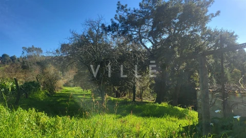 Terreno para Venda em Préstimo e Macieira de Alcoba