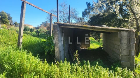 Terreno para Venda em Préstimo e Macieira de Alcoba