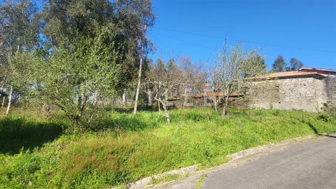 Terreno para Venda em Préstimo e Macieira de Alcoba