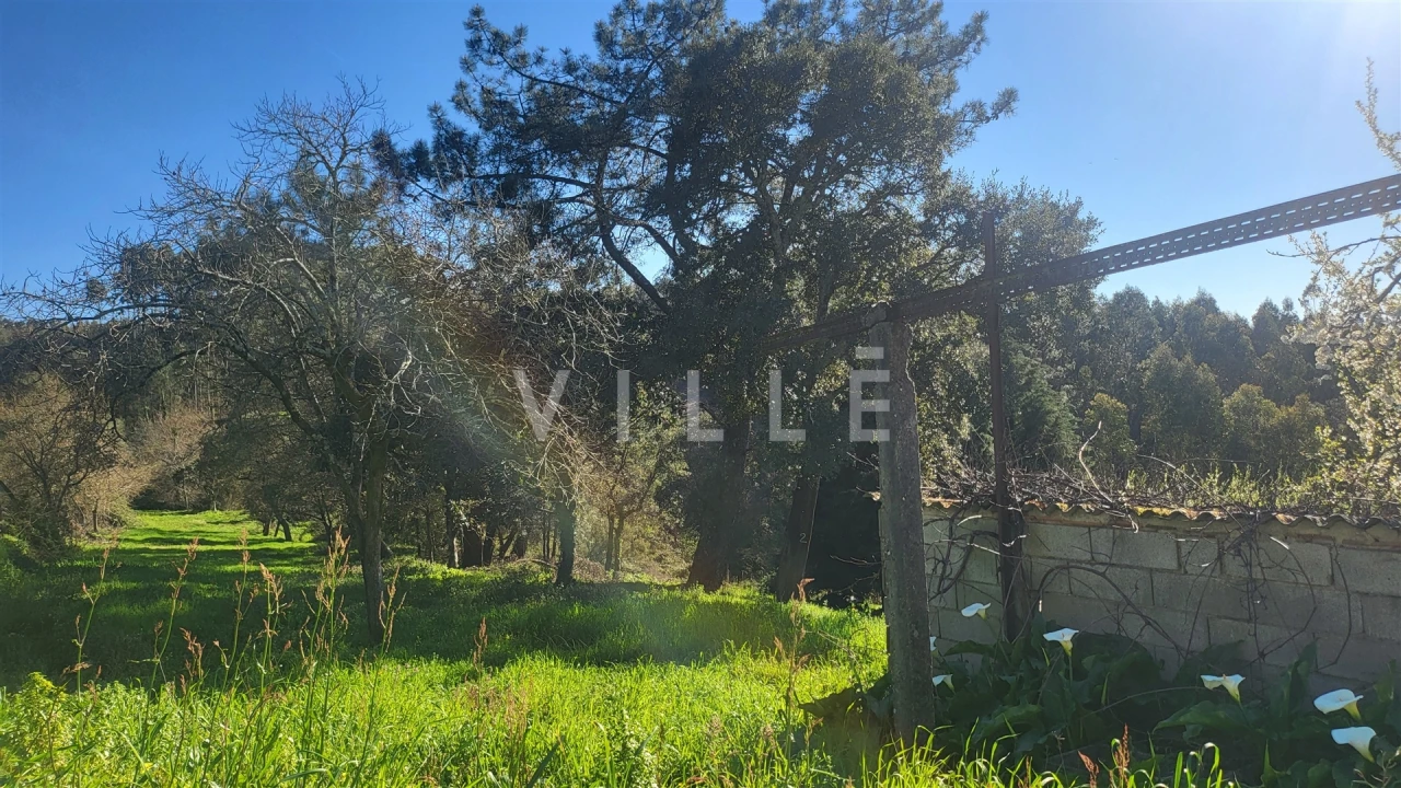Terreno para Venda em Préstimo e Macieira de Alcoba Foto 12