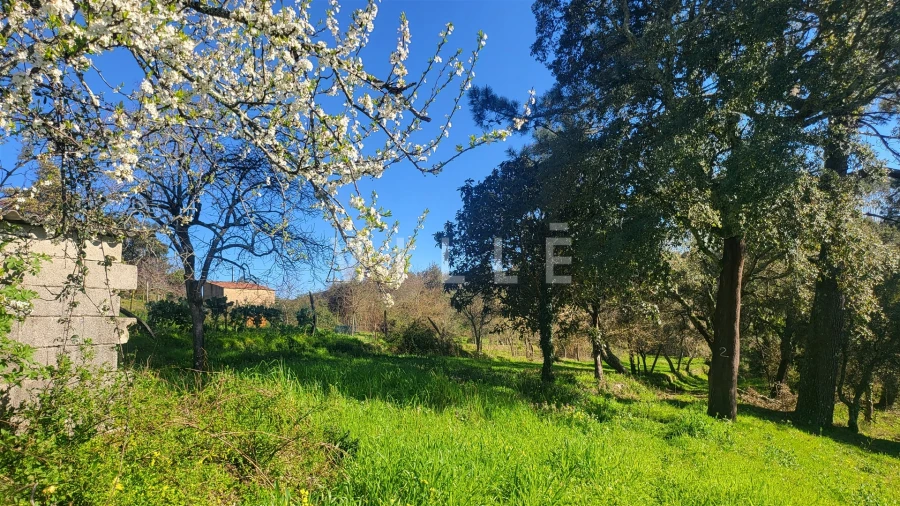 Terreno para Venda em Préstimo e Macieira de Alcoba Foto 8