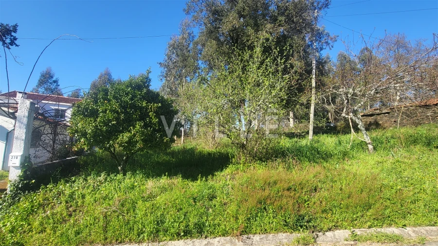 Terreno para Venda em Préstimo e Macieira de Alcoba Foto 4
