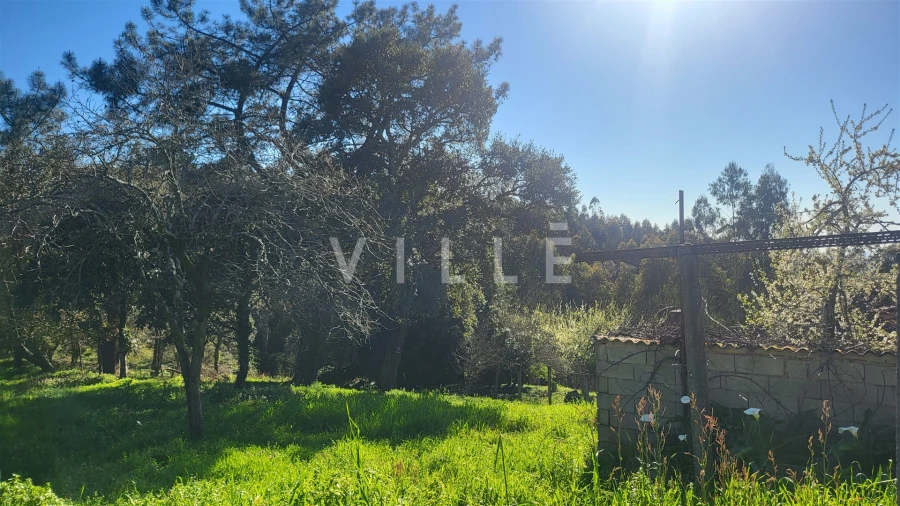 Terreno para Venda em Préstimo e Macieira de Alcoba Foto 14