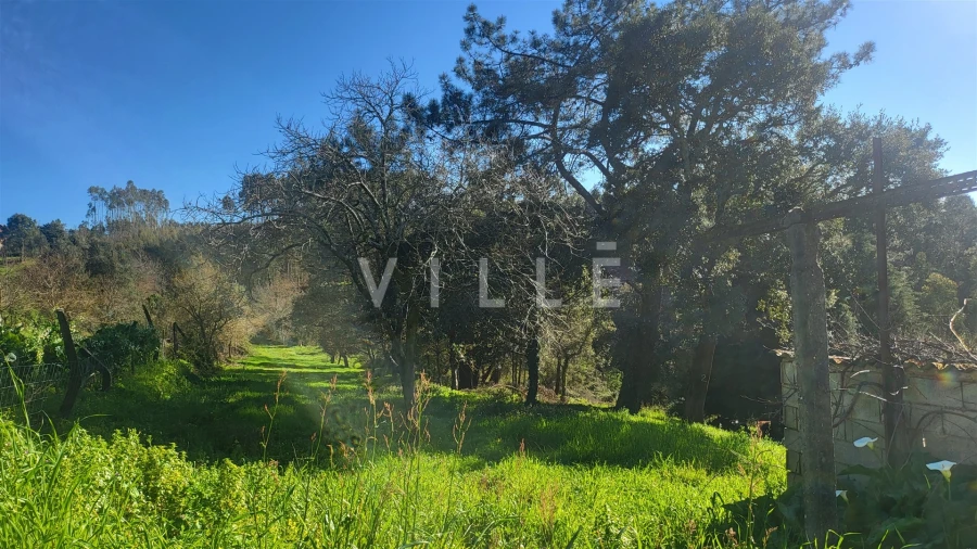 Terreno para Venda em Préstimo e Macieira de Alcoba Foto 13