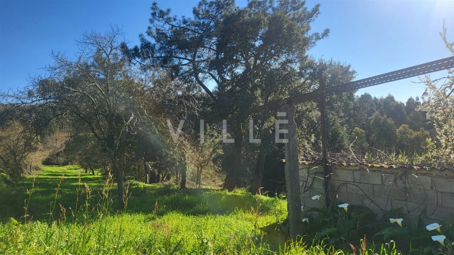 Terreno para Venda em Préstimo e Macieira de Alcoba Foto 12