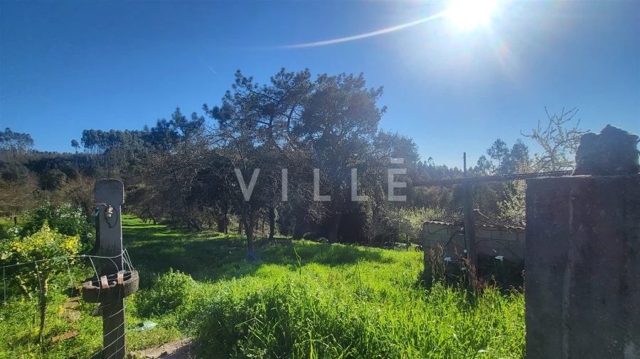 Terreno para Venda em Préstimo e Macieira de Alcoba Foto 16