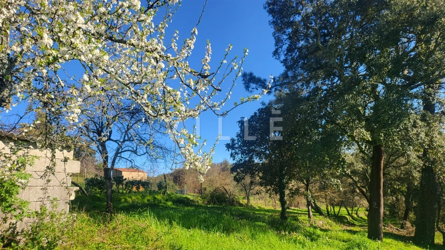 Terreno para Venda em Préstimo e Macieira de Alcoba Foto 9