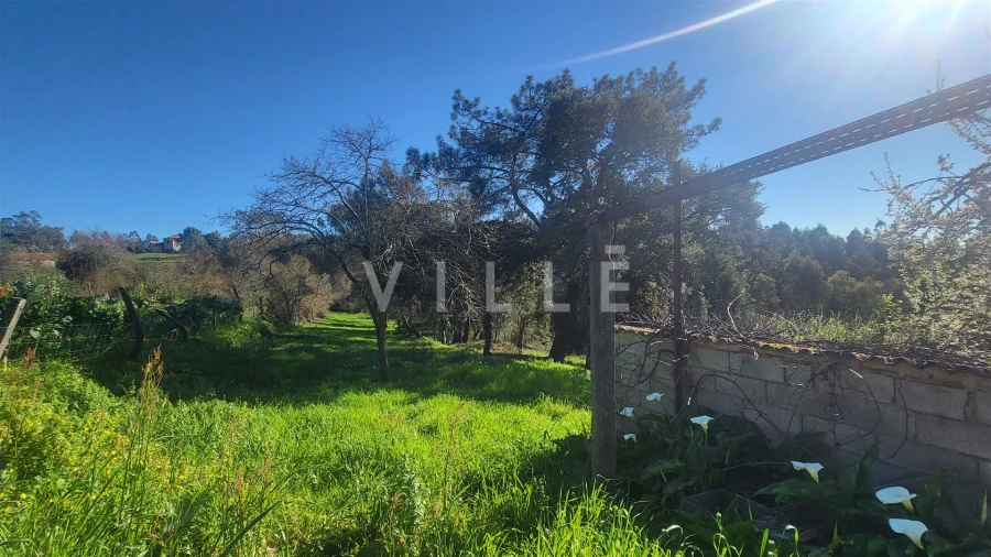 Terreno para Venda em Préstimo e Macieira de Alcoba Foto 17