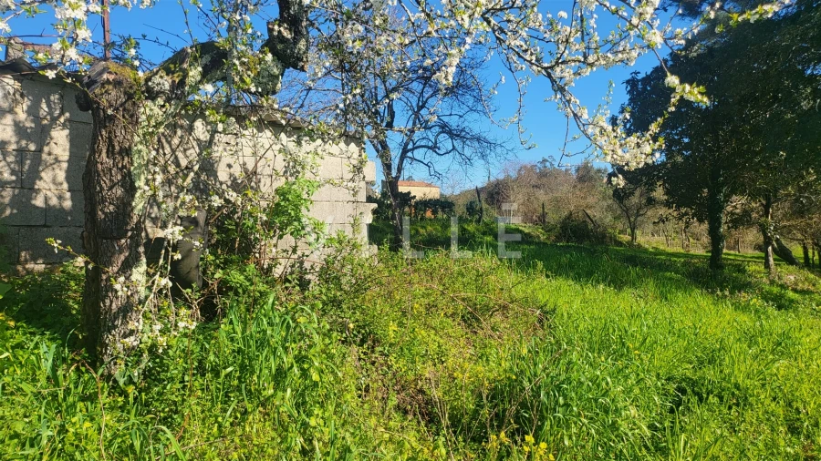 Terreno para Venda em Préstimo e Macieira de Alcoba Foto 7