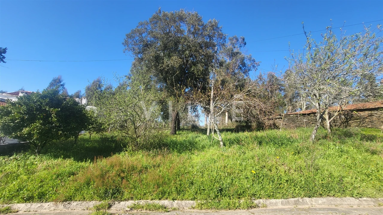 Terreno para Venda em Préstimo e Macieira de Alcoba Foto 1