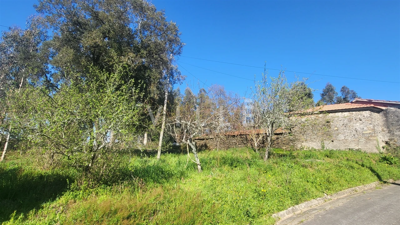 Terreno para Venda em Préstimo e Macieira de Alcoba Foto 6