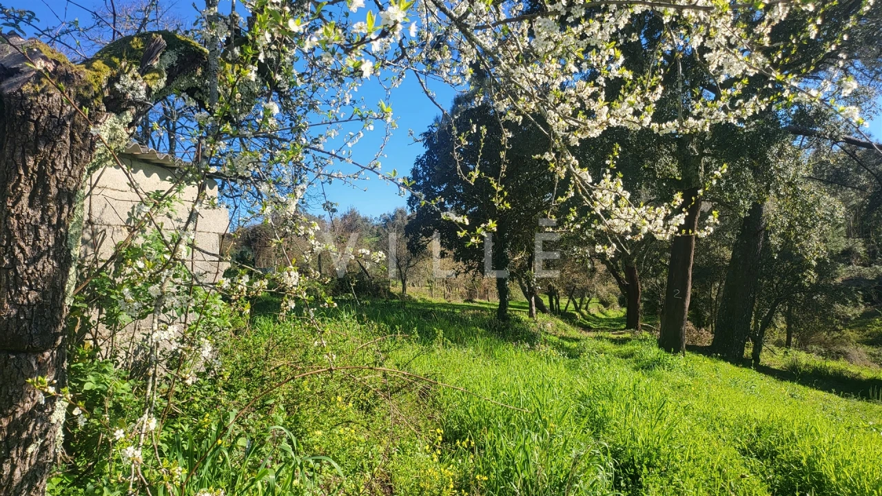 Terreno para Venda em Préstimo e Macieira de Alcoba Foto 10