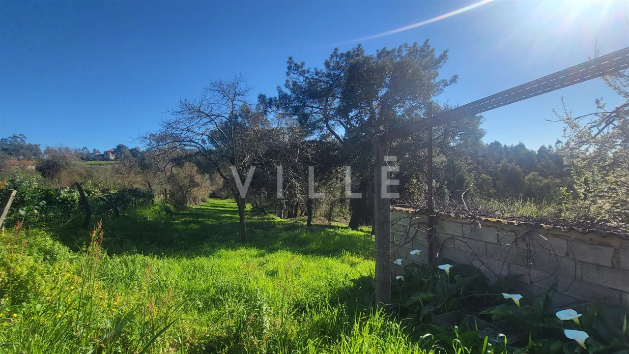 Terreno para Venda em Préstimo e Macieira de Alcoba Foto 17