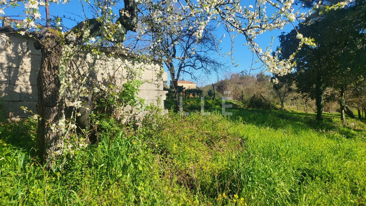 Terreno para Venda em Préstimo e Macieira de Alcoba Foto 7