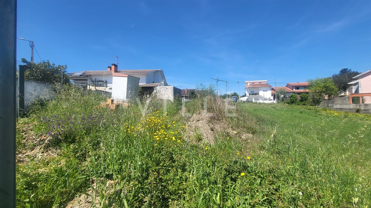 Terreno para Venda em Trofa, Segadães e Lamas do Vouga Foto 10