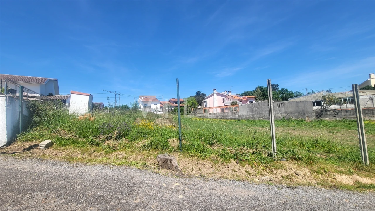 Terreno para Venda em Trofa, Segadães e Lamas do Vouga Foto 12