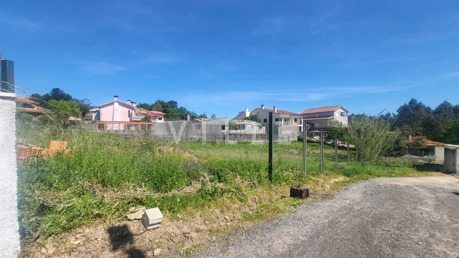 Terreno para Venda em Trofa, Segadães e Lamas do Vouga Foto 13