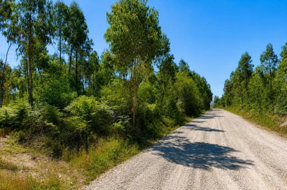 Terreno para Venda em Albergaria-A-Velha e Valmaior