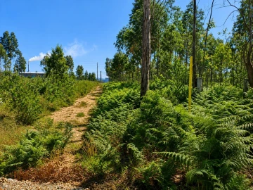 Terreno para Venda em Albergaria-A-Velha e Valmaior