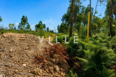 Terreno para Venda em Albergaria-A-Velha e Valmaior