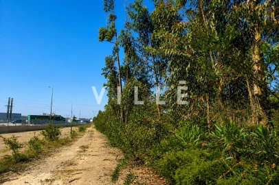 Terreno para Venda em Albergaria-A-Velha e Valmaior