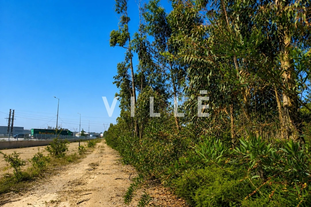 Terreno para Venda em Albergaria-A-Velha e Valmaior Foto 12