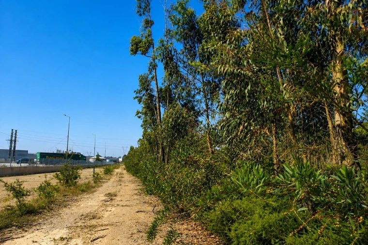 Terreno para Venda em Albergaria-A-Velha e Valmaior Foto 3