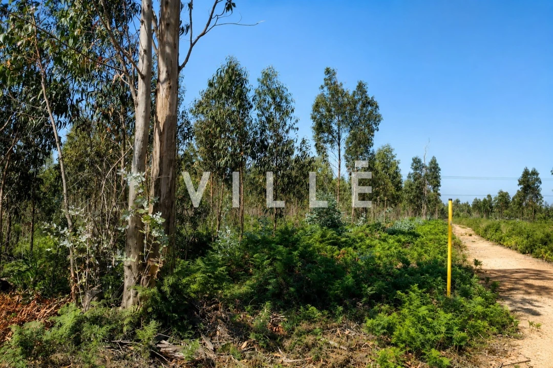 Terreno para Venda em Albergaria-A-Velha e Valmaior Foto 18
