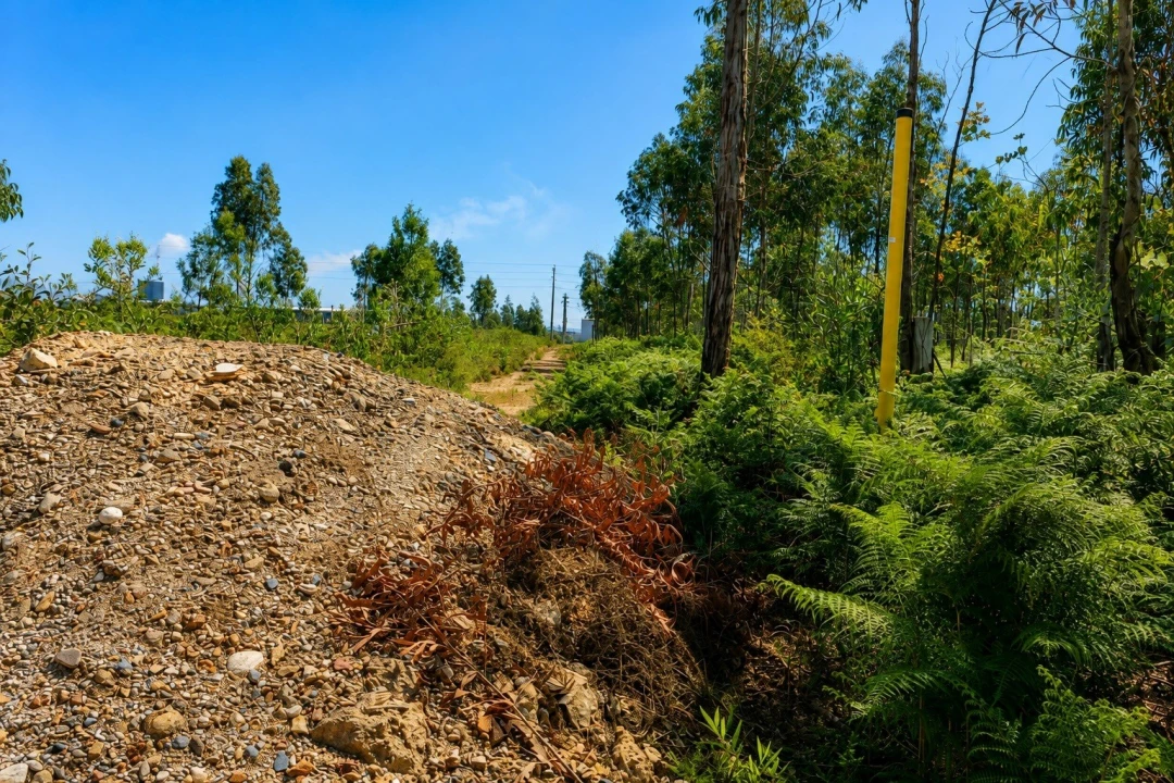 Terreno para Venda em Albergaria-A-Velha e Valmaior Foto 6