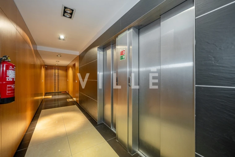 Apartamento T1 para Arrendamento em Aradas Foto 4