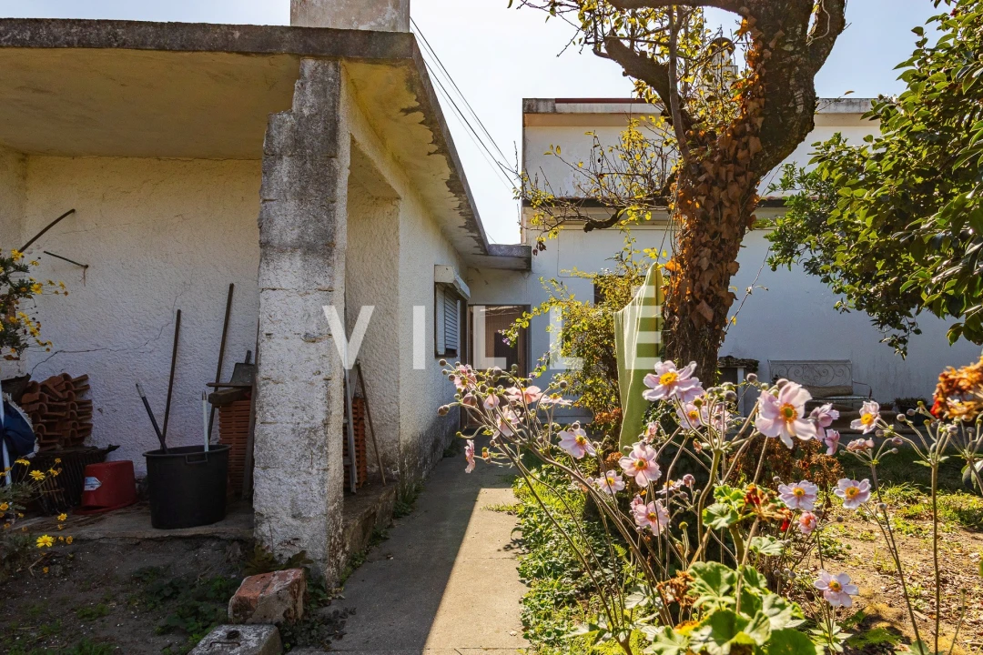 Moradia T3 para Venda em Ílhavo (São Salvador) Foto 29