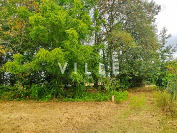 Terreno para Venda em Bustos, Troviscal e Mamarrosa