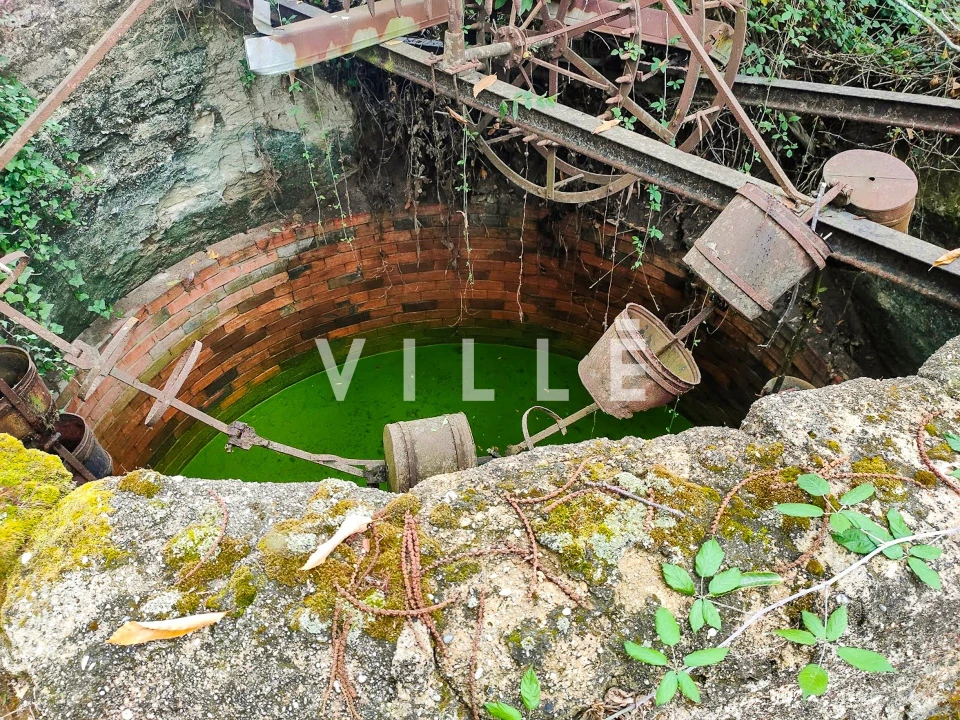 Terreno para Venda em Bustos, Troviscal e Mamarrosa Foto 16
