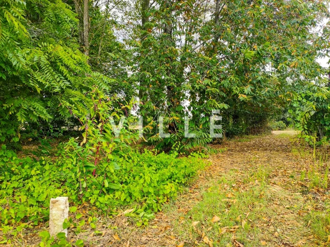 Terreno para Venda em Bustos, Troviscal e Mamarrosa Foto 10