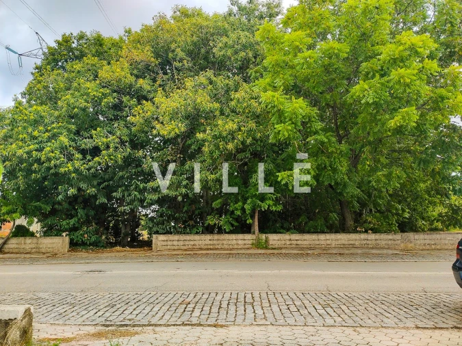 Terreno para Venda em Bustos, Troviscal e Mamarrosa Foto 2
