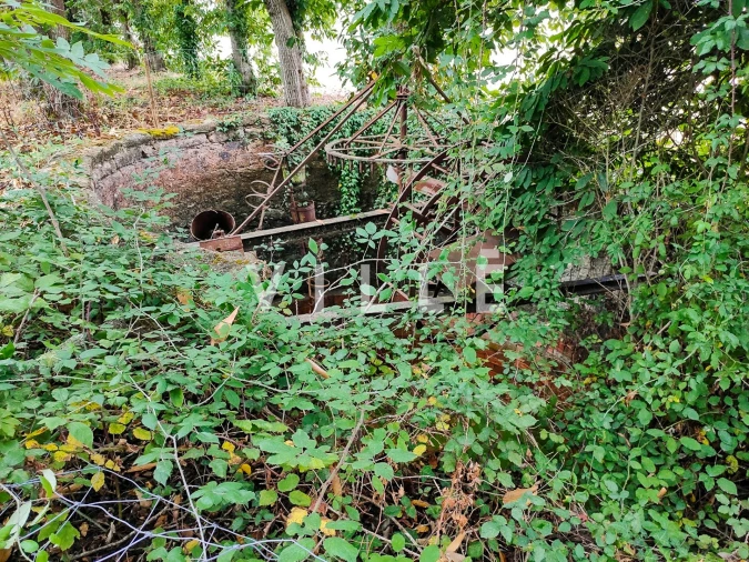 Terreno para Venda em Bustos, Troviscal e Mamarrosa Foto 14