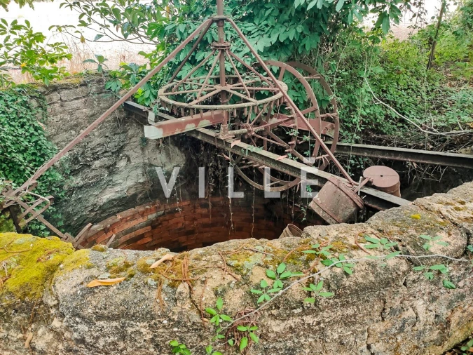 Terreno para Venda em Bustos, Troviscal e Mamarrosa Foto 33