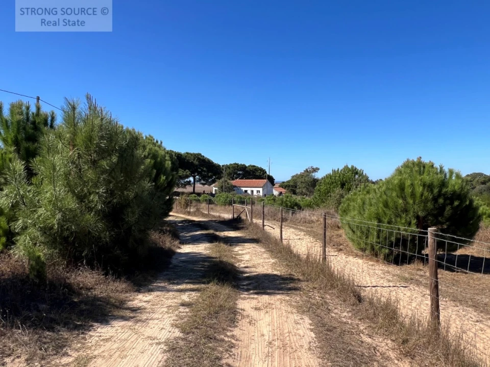 Quinta T3 para Venda em São Teotónio Foto 3