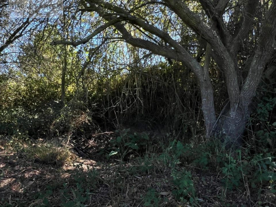 Quinta T3 para Venda em São Teotónio Foto 19