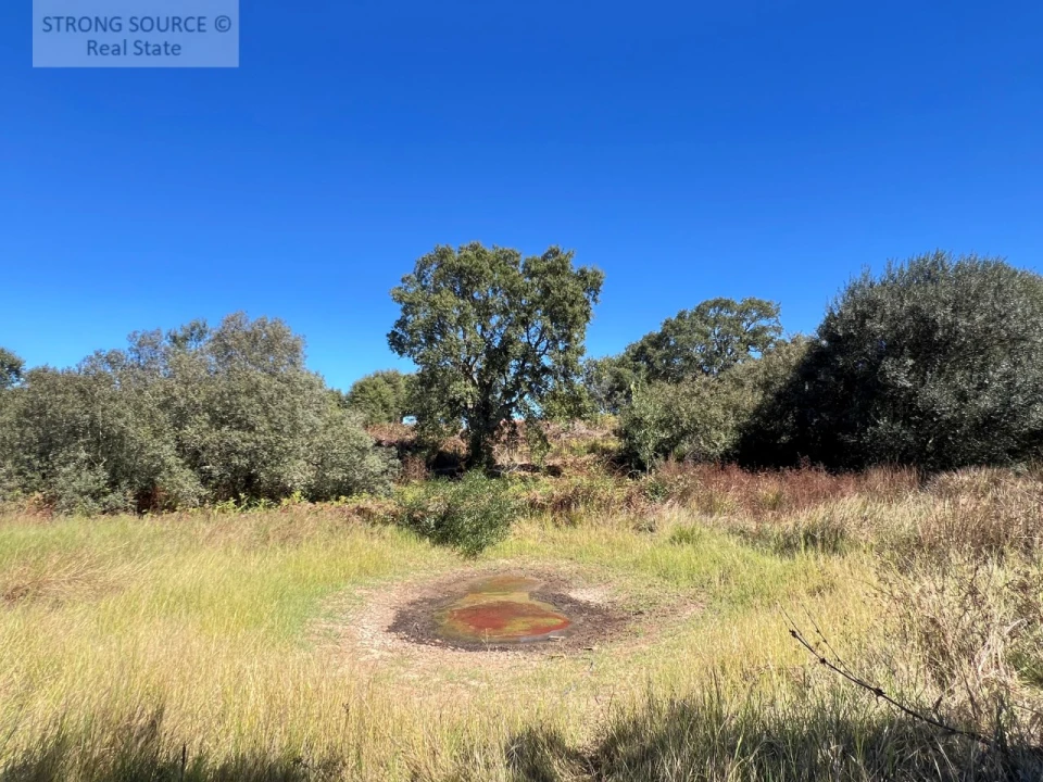 Quinta T3 para Venda em São Teotónio Foto 21