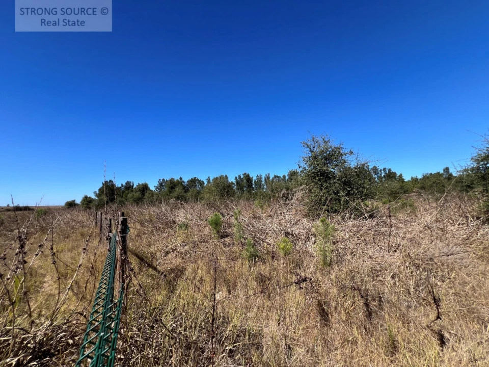 Quinta T3 para Venda em São Teotónio Foto 25