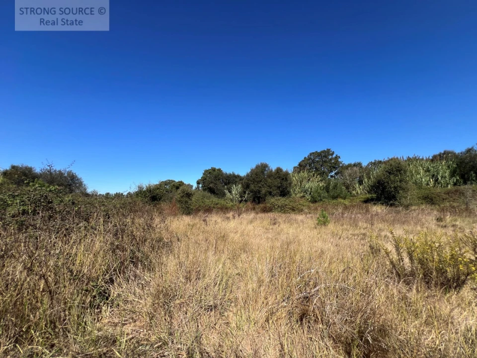 Quinta T3 para Venda em São Teotónio Foto 26