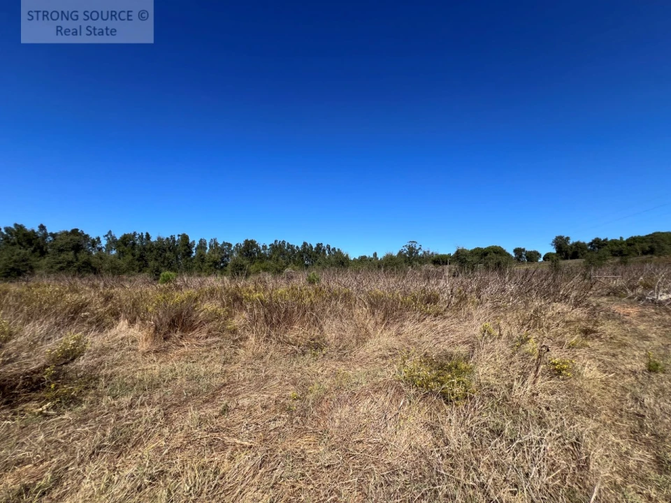 Quinta T3 para Venda em São Teotónio Foto 27