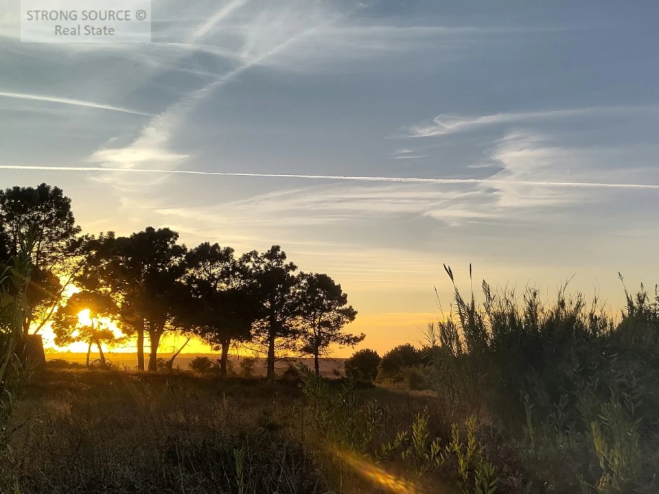 Quinta T3 para Venda em São Teotónio Foto 31